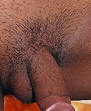 asian Cock